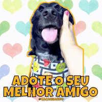 Dog Love GIF