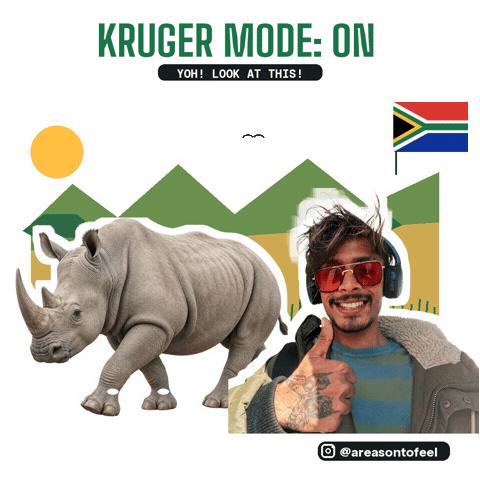 South Africa Wow Sticker by TEAM AF