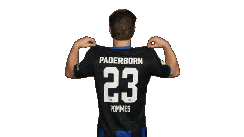 Sc Paderborn 07 Football Sticker by Bundesliga