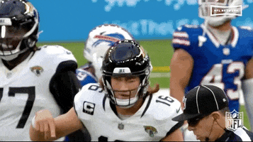 National Football League GIF by NFL