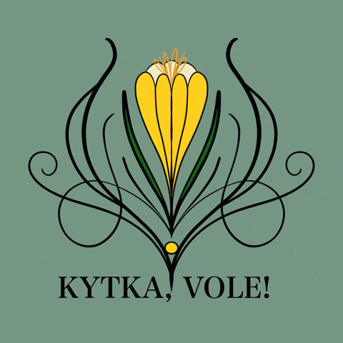 Kytka Vole GIF