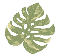 Monstera Deliciosa Sticker