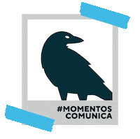ComunicaPUCP pucp comunicapucp cuervocomunica Sticker