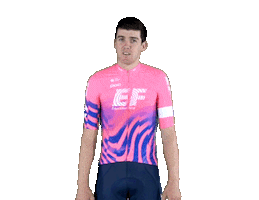 New Zealand Idk Sticker by EF Education First