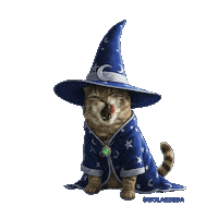 Harry Potter Cat Sticker