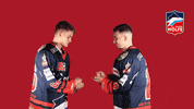 Schnick Schnack Schnuck Hockey GIF by Selber Wölfe