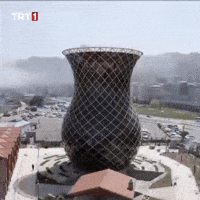 Tea Cup Morning GIF by TRT
