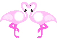 Party Pink Sticker by Aww, Sam