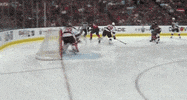 nhl GIF by SB Nation