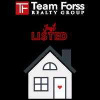 teamforss teamforss GIF