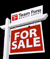 teamforss teamforss GIF