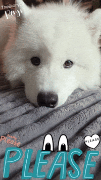 Beg Please GIF