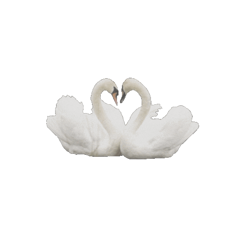 takarano love heart kiss white Sticker