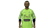 Sport Goal Sticker by Sporting Musile