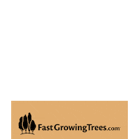 Plants Box Opening Sticker by FastGrowingTrees.com