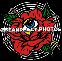 seanreillyphotos rose eye photo camera GIF