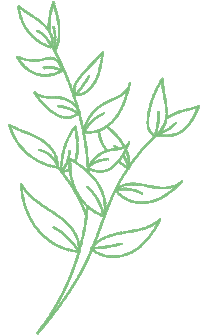 Plants Sketch Sticker