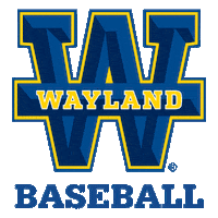 College Baseball Sticker by Wayland Baptist University
