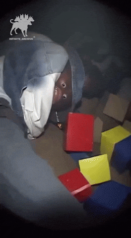 Shape Buggin GIF