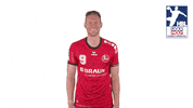 Handball-Bundesliga Dance GIF by LIQUI MOLY HBL
