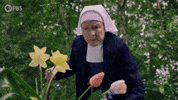 Episode 2 Flower GIF by PBS