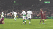 Scottish Football Sport GIF by Celtic Football Club