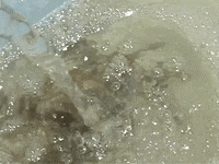 Education Biology GIF by DIIMSA Stock