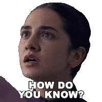 How Do You Know The Testaments Sticker by HULU