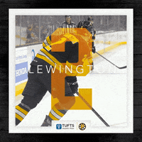 Ahlbruins GIF by Providence Bruins