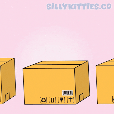 Cat Hello GIF by Silly Kitties