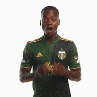 Portland Timbers Omg GIF by Timbers
