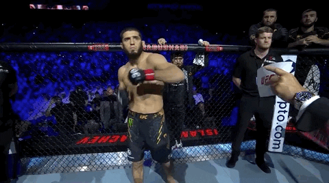 Mixed Martial Arts Sport GIF by UFC