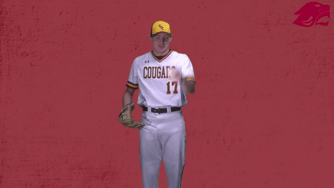 baseball GIF