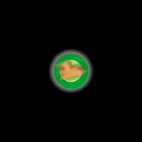 Mascote Terefrutas GIF by Terê