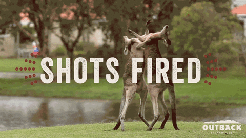 shots fired kangaroo GIF by Outback Steakhouse