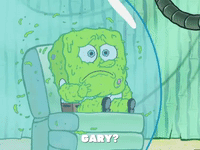 season 5 episode 3 GIF by SpongeBob SquarePants