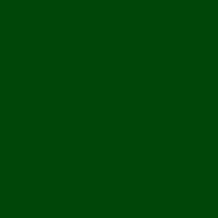 Climate Change Forest GIF by Transparency International