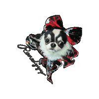 Bm Sticker