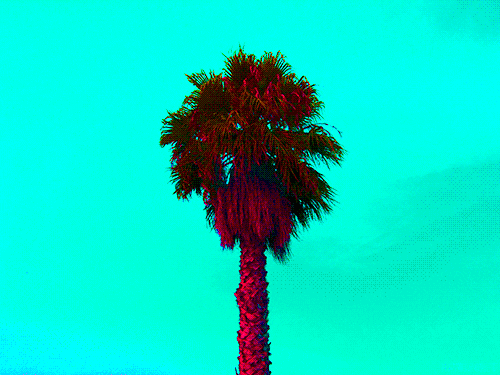 GIF by haydiroket (Mert Keskin)