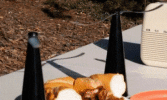 ANSAJE giphyupload GIF