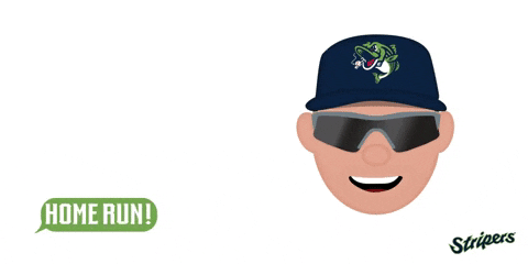 GIF by Gwinnett Stripers