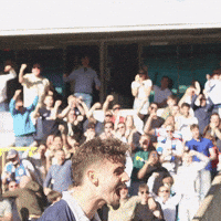Celebration Love GIF by MillwallFC