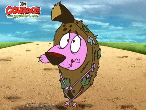 Courage The Cowardly Dog GIF by Cartoon Network