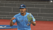Blue Jays Good Job GIF by Toronto Blue Jays