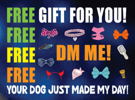 Pettumblefree GIF by Pettumble.com