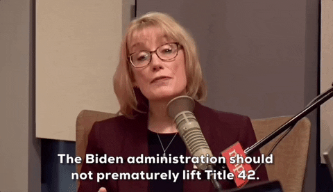 New Hampshire Senate GIF by GIPHY News