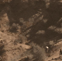 Send Red Bull Rampage GIF by Red Bull