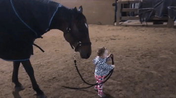 One-Year-Old Girl Leads Trusting Horse on Friendly Walk