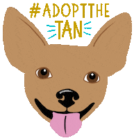 Chihuahua Adopt Sticker by HeARTs Speak