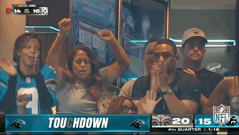 Regular Season Football GIF by NFL